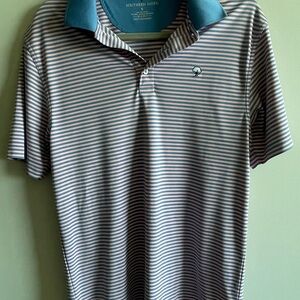 Men's Striped Polo - Blue and White